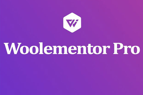 Woolementor Pro