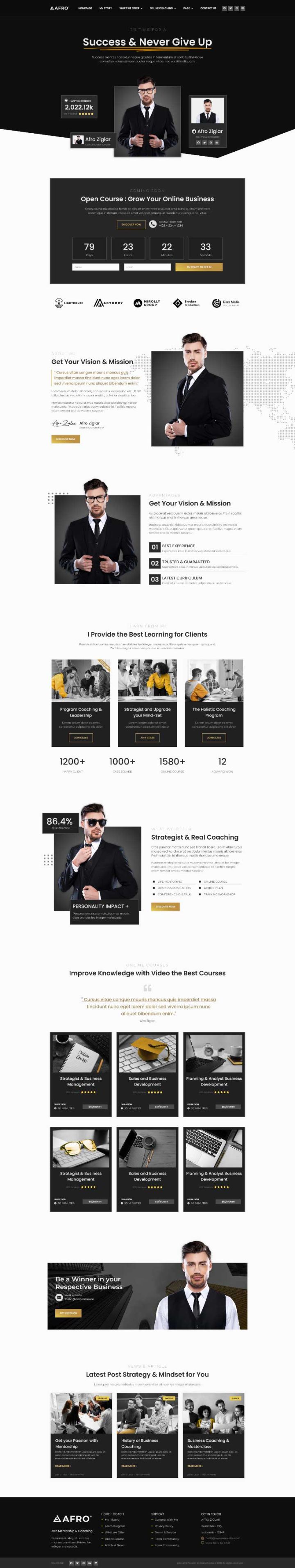 WordPress шаблон ThemeForest AFRO