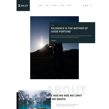 ThemeForest Barley