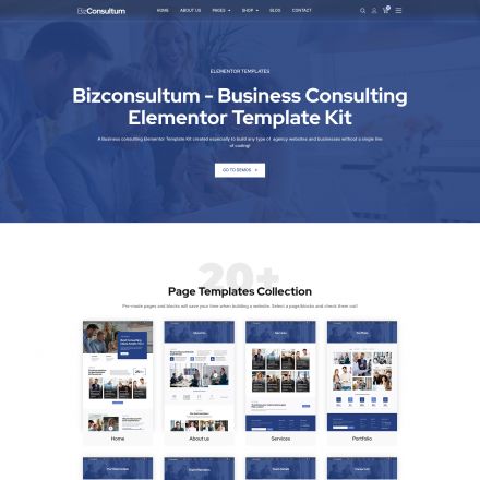 ThemeForest Bizconsultum