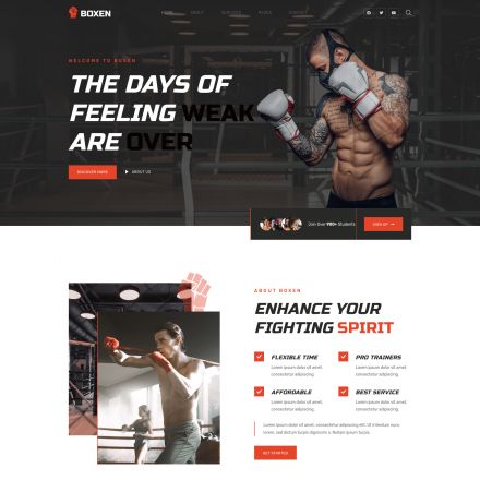 ThemeForest Boxen