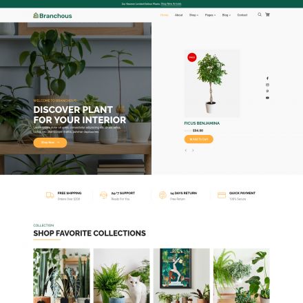 ThemeForest Branchous