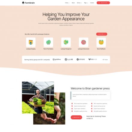 ThemeForest Brian