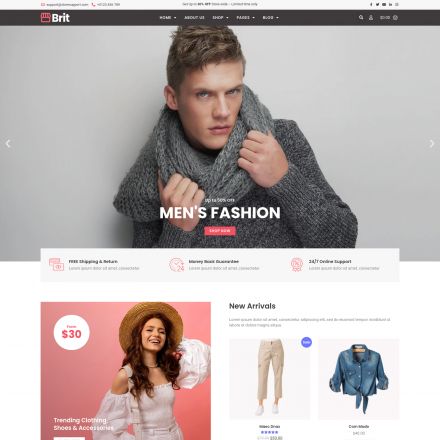 ThemeForest Brit