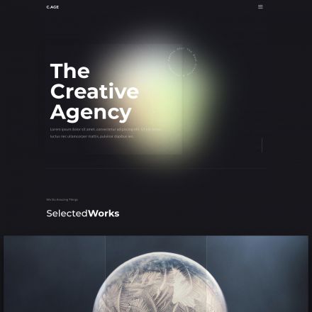 ThemeForest C.AGE