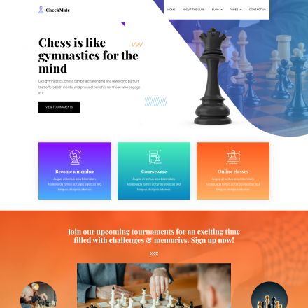ThemeForest CheckMate