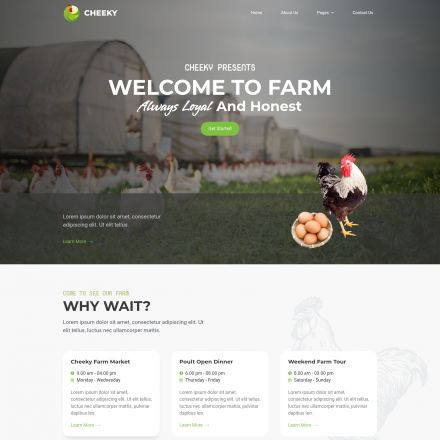 ThemeForest Cheeky