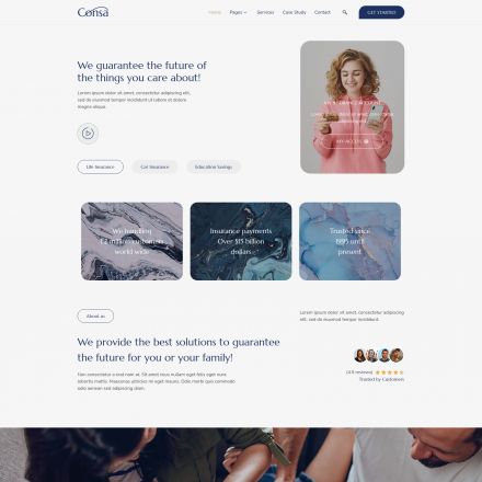 ThemeForest Consa