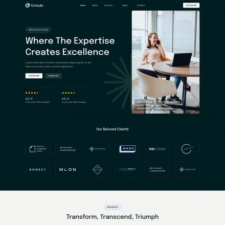 ThemeForest Consula