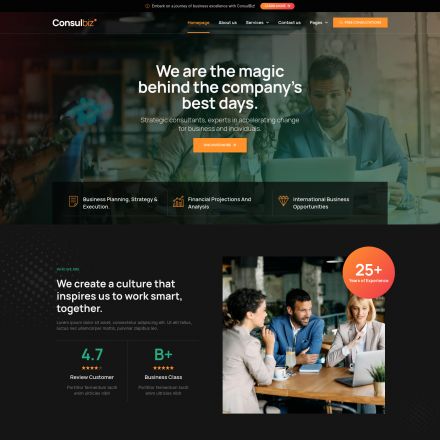 ThemeForest ConsulBiz