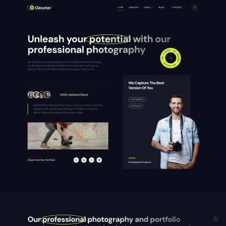 ThemeForest Dexxter