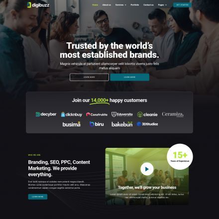 ThemeForest DigiBuzz