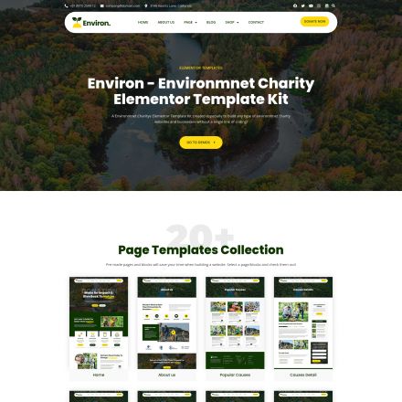 ThemeForest Environ