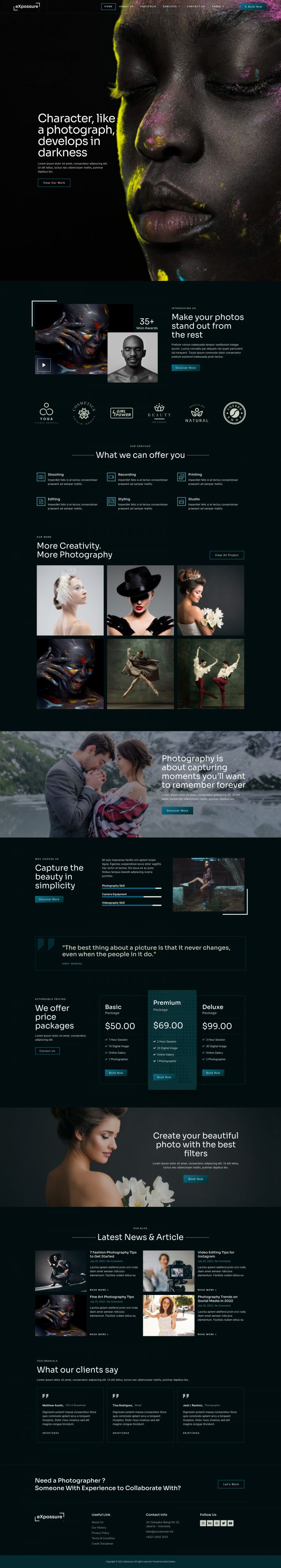 WordPress шаблон ThemeForest Expossure