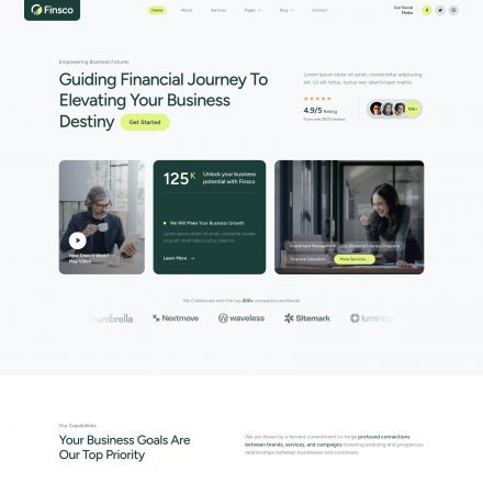 ThemeForest Finsco