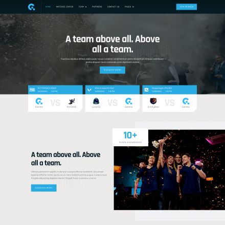 ThemeForest Gammo