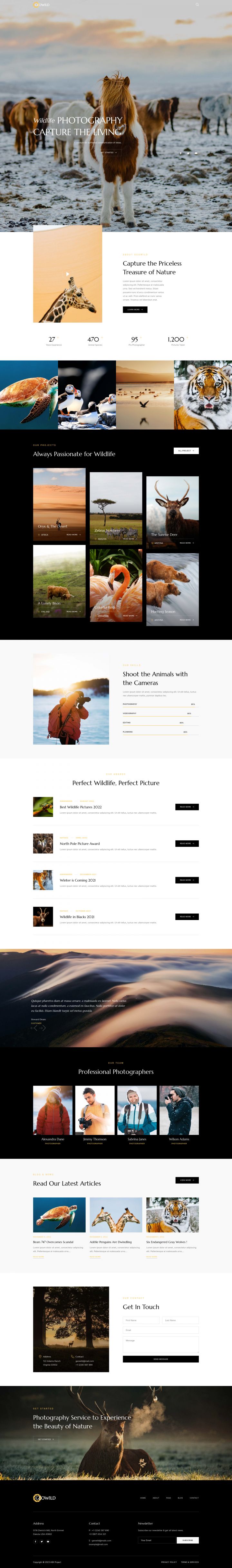 WordPress шаблон ThemeForest Geowild