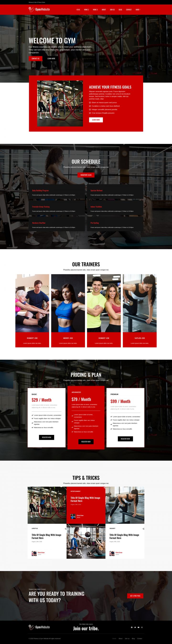 WordPress шаблон ThemeForest Gymsite