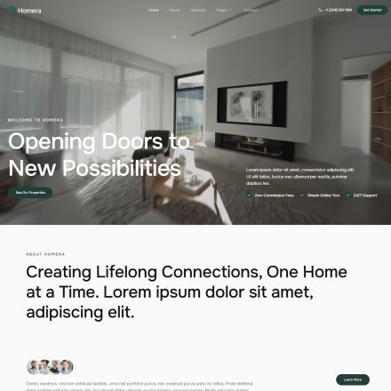 ThemeForest Homera