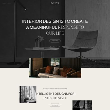 ThemeForest Intect