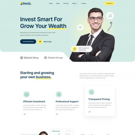 ThemeForest Inviz