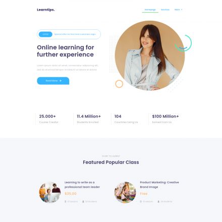 ThemeForest Learnera