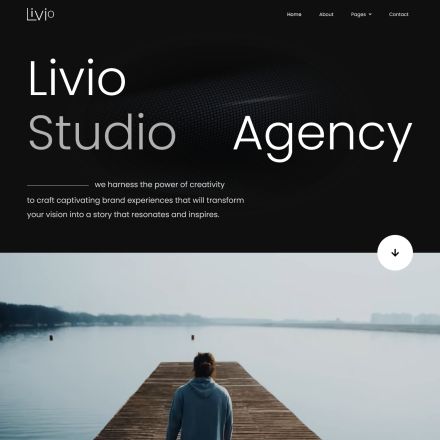 ThemeForest Livio