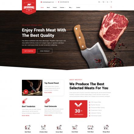 ThemeForest Meatezy