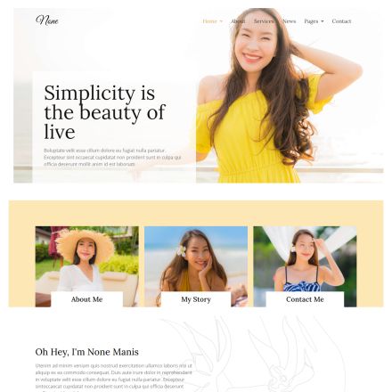 ThemeForest None