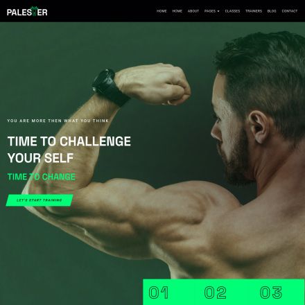 ThemeForest Palester