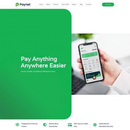 ThemeForest Paynet