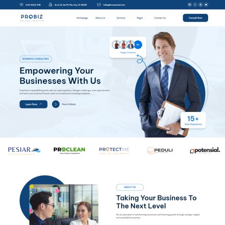 ThemeForest Probiz