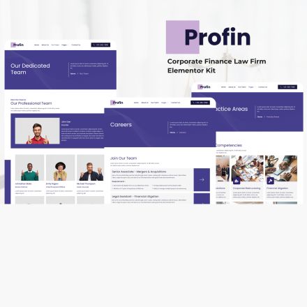 ThemeForest Profin