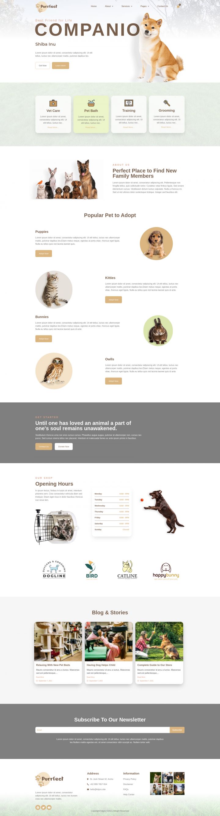 WordPress шаблон ThemeForest Purrfect