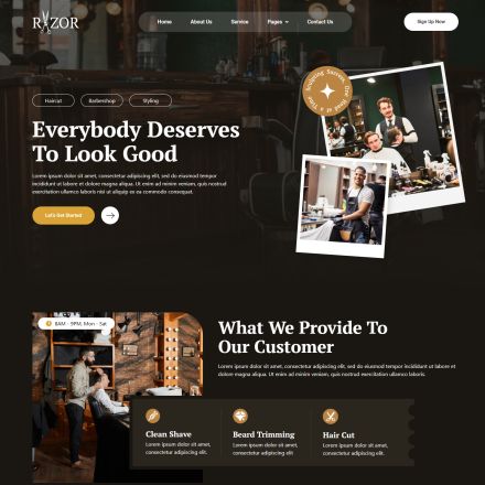 ThemeForest Razor