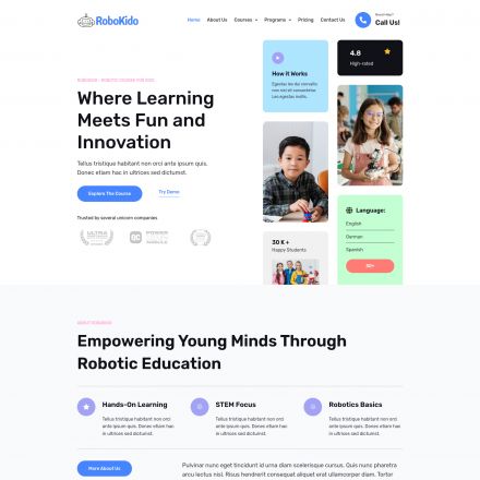 ThemeForest Robokido