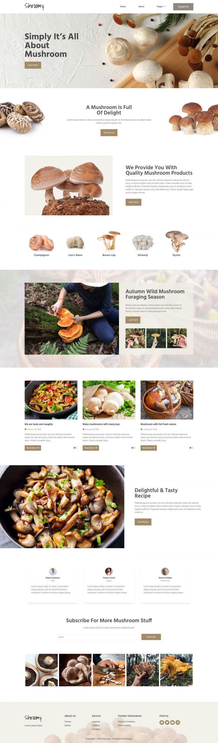 WordPress шаблон ThemeForest Shroomy