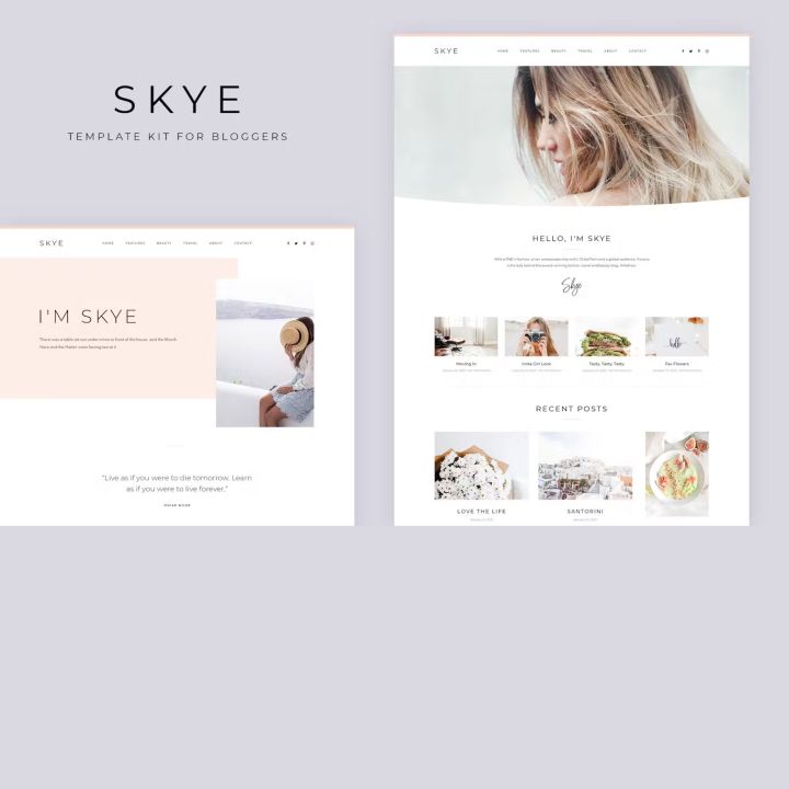 WordPress шаблон ThemeForest Skye