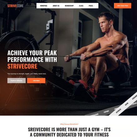 ThemeForest StriveCore