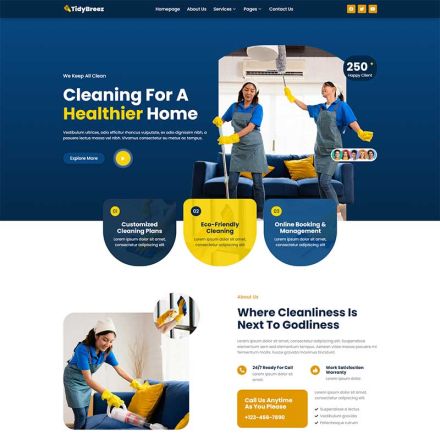 ThemeForest Tidybreez