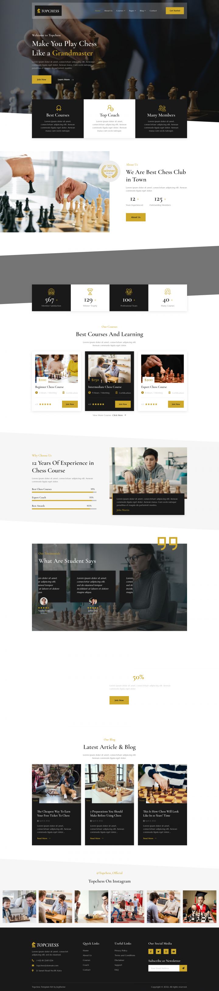 WordPress шаблон ThemeForest Topchess