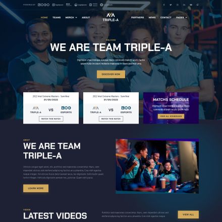 ThemeForest Triple-A