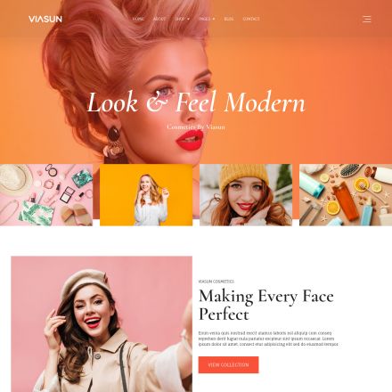 ThemeForest Viasun