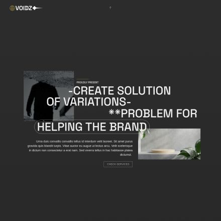 ThemeForest Voidz