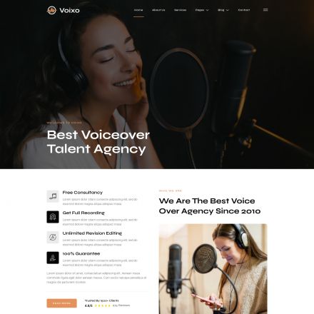 ThemeForest Voixo