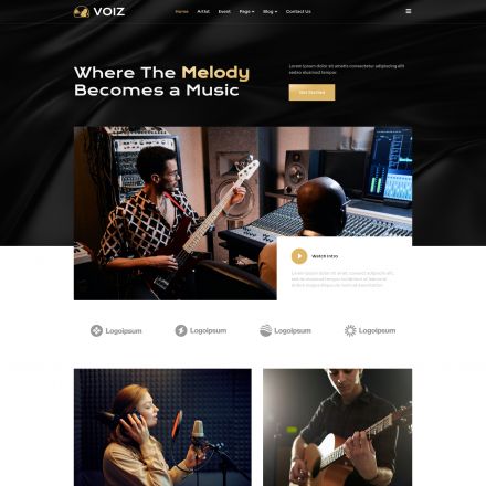 ThemeForest Voiz