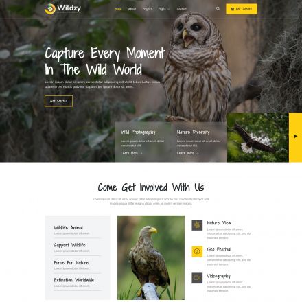 ThemeForest Wildzy