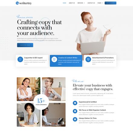 ThemeForest Writertry