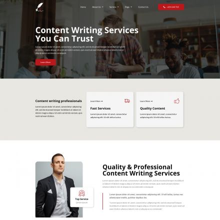 ThemeForest Writery