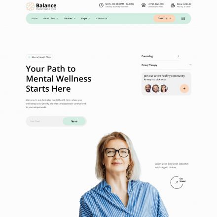 ThemeForest Balance